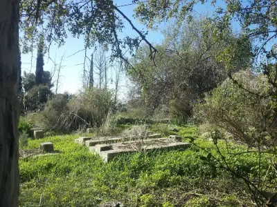 אקיבוץ