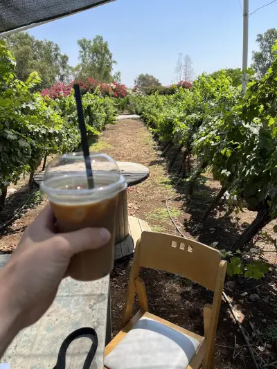 טראקפה