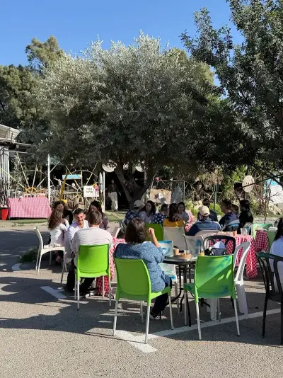 מלכה - עגלת קפה