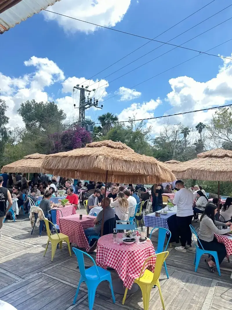 החצר של נוני