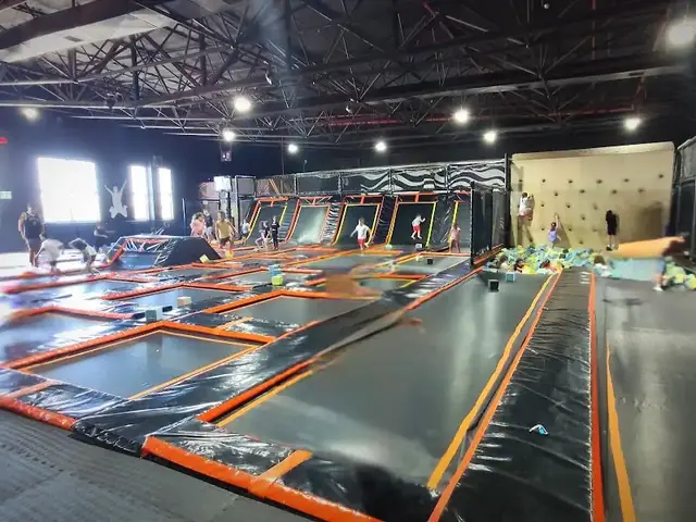 קידיבי: תמונה