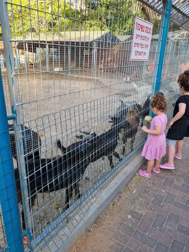 חי בחולון: תמונה