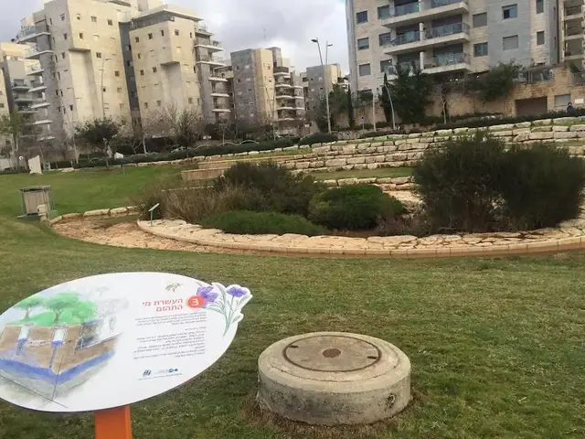 בריכת ביו פילטר: תמונה