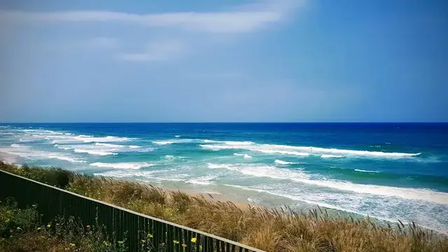טיילת בת ים: תמונה