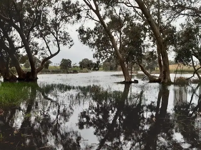 פארק השלולית: תמונה