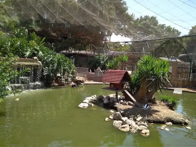 גן החי פתח תקווה: תמונה
