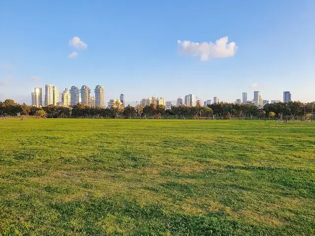 ספורטק ת"א: תמונה