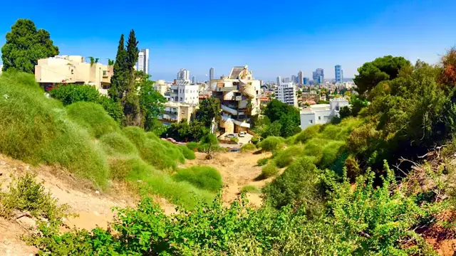 הר הבנים: תמונה