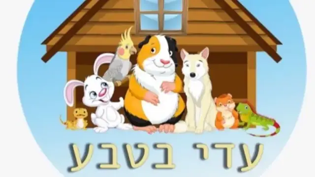 עדי בגג: תמונה