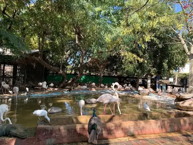 חי כיף: תמונה