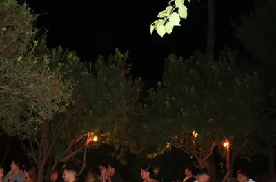 אל וסינו, תמונה 5