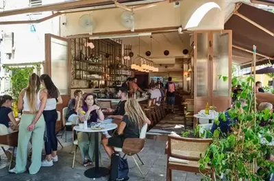 קפה AT8