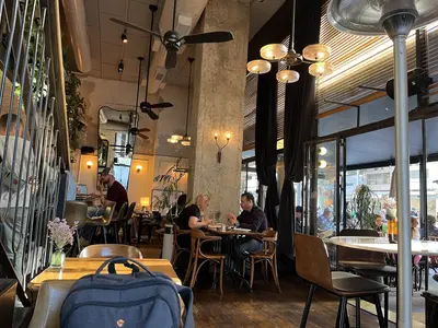 קפה מאייר