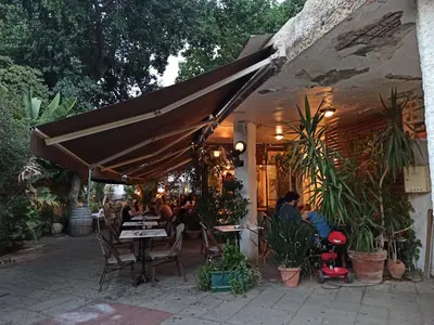 פטלינה
